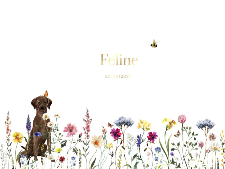 Speels geboortekaartje meisje met bloemenveld en hond