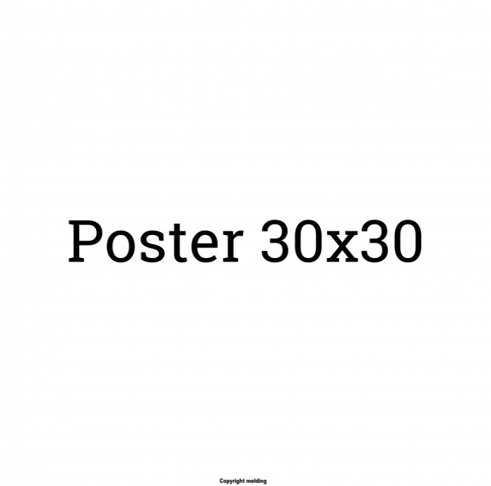 30x30 (Poster) voor