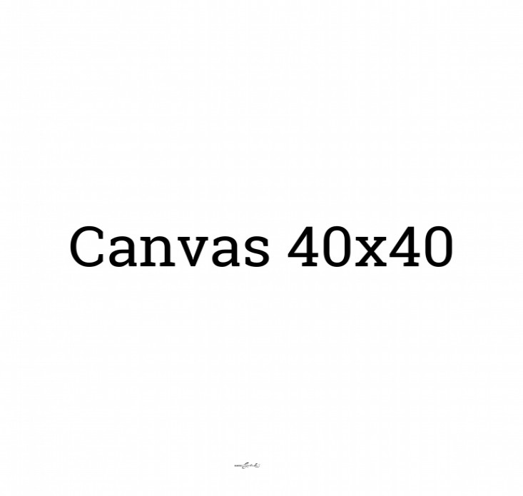 40x40 (Canvas 2cm) voor