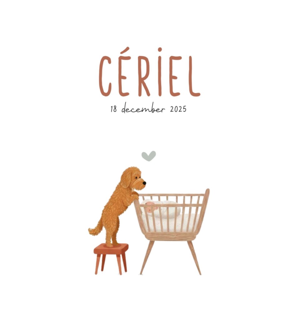 Speels geboortekaartje met labradoodle en wieg