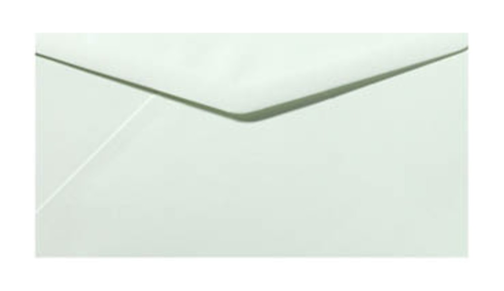 Envelop muntgroen 22x11cm