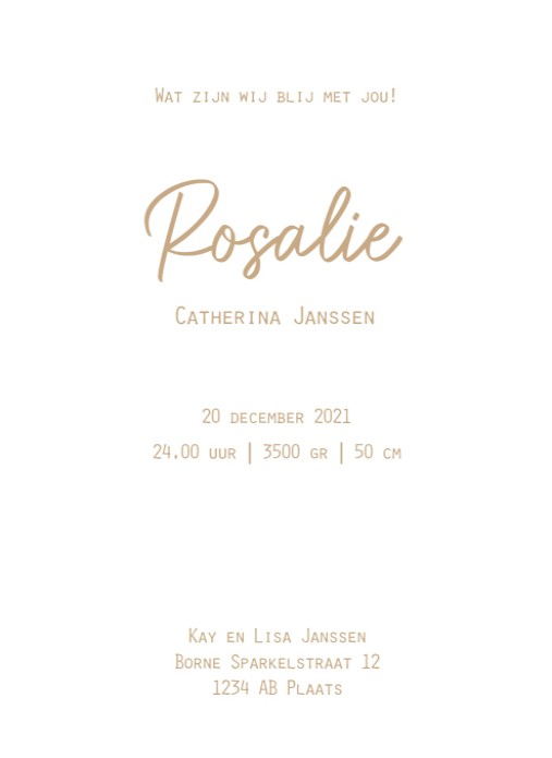Klassiek unisex geboortekaartje wit met goudfolie