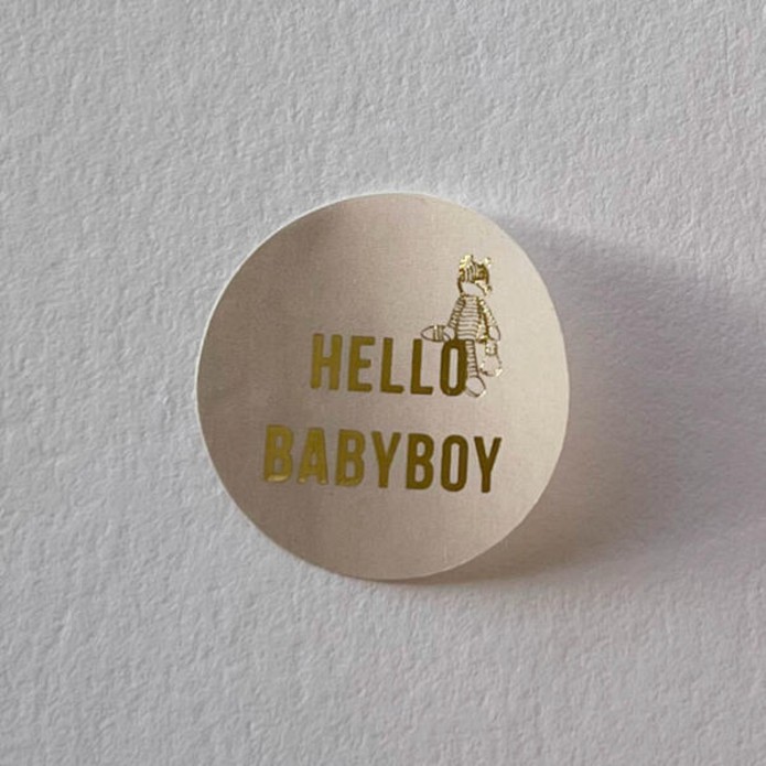 ronde-beige-sluitzegel-gouden-letters-geboorte-zegel-sticker-jongen-hello-babyboy-giraffe-knuffel-happy-horse-600x600